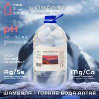 Вода питьевая Шамбала минеральная горная 2шт х 5л пластик