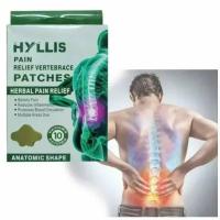 Поясничный травяной пластырь Hyllis, 10 штук в упаковке, обезболивает и снимает воспаление