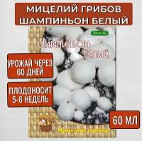 Агрохолдинг Поиск Мицелий грибов Шампиньон белый на субстрате 60 мл