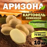 Картофель семенной среднеспелый Аризона (клубни на посадку Элита) 10 кг