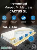 Матрас Mr. Mattress CACTUS XL 200x200