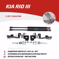 Амортизатор капота Автоупор UKIRIO012, для Kia, 2 шт