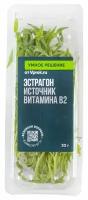 Эстрагон Умное решение от Vprok.ru 30г упаковка