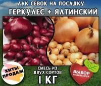 Лук севок на посадку "Геркулес + Ялтинский" (смесь из двух сортов) 1 кг