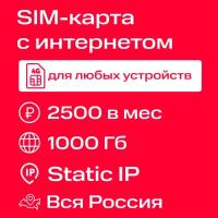 СИМ-карта безлимитный интернет МТС со статическим IP-адресом 1000 Гб за 2500 ₽/мес