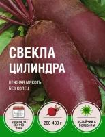 Свекла Цилиндра (1 пакет по 3гр)