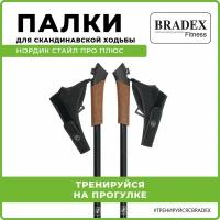 Палки для скандинавской ходьбы Bradex Нордик Стайл Про Плюс карбоновые телескопические