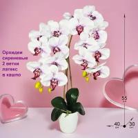 Искусственные Орхидеи 2 ветки в кашпо сиреневые 55см от ФитоПарк
