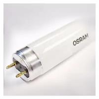 OSRAM L18W/ 830 LUMILUX G13 d26x590mm 1350lm 3000K - лампа люминесцентная