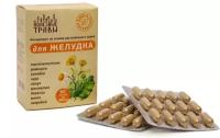 Фитокомплекс для желудка серия "Полезные травы" 450 мг №60 капс
