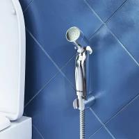 Гигиенический душ с держателем и шлангом Damixa 760550200