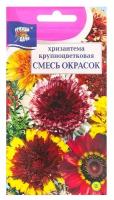 Семена цветов Хризантема многолетняя "Смесь окрасок", крупноцветковая, 0,02 г