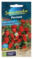 Семена Земляника "Регина", ремонтантная, Сем. Алт, ц/п, 0,04 г