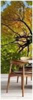 Самоклеящиеся фотообои "Крона дерева, осень", размер: 90x210 см, эффект: отраженный