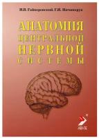 Гайворонский И.В. "Анатомия центральной нервной системы: учебное пособие"