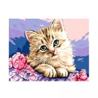 Цветной Картина по номерам "Милый котенок" 30х40 см (EX5281)