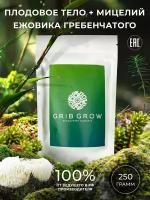 Ежовик Гребенчатый плодовое тело + мицелий Grib Grow - 250 грамм