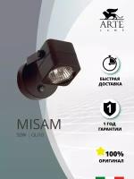 Настенный светильник Arte Lamp MISAM A1315AP-1BK