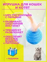 Игрушка для кошек мячик с погремушкой, игрушка дразнилка для кошек и котят, мяч погремушка с перьями