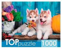 Пазл TOP Puzzle 1000 деталей: Два щенка хаски