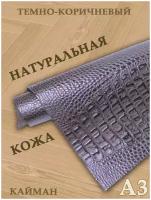 Кожа натуральная/Формат А3/Кожа рептилии Кайман 1,2-1,4мм цв. темно-коричневый крокодил