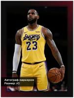 Постер с автографом Джеймс Леброн, игрок Лос Анджелес Лэйкерс, НБА, А3, без рамы