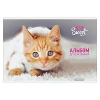 Альбом для рисования ArtSpace Питомцы Pretty sweet 29.7 х 21 см (A4), 100 г/м², 24 л