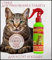 Спрей приучение к туалету для кошек и котят Деликс Шарм, антигадин, 200 мл