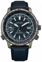 Часы Citizen CB0204-14L