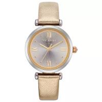 Наручные часы Ted Baker London