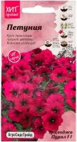 Семена Петунии Трилоджи Пурпл 5 шт, Петуния каскадная многоцветковая, семена однолетних цветов для горшков балкона и сада, однолетние балконные цветы