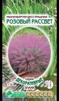 Семена Мюленбергии бесстрашной "Розовый рассвет" (5 семян)