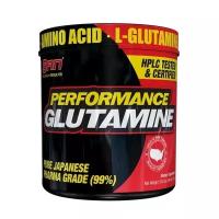 Аминокислота S.A.N. Performance Glutamine, нейтральный, 300 гр