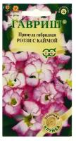 Семена цветов Примула "Роззи с каймой", махровая, серия Элитная клумба, 3 шт 5462566