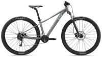 Женский велосипед Giant Tempt 2 29 (2022) 16.5" Серебристый (152-167 см)