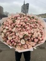 Кустовая Роза пионовидная 101 шт