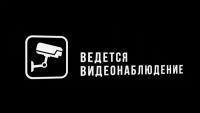 Табличка "Видеонаблюдение", Глянцевая линейка, цвет Черный, 30 см х 10 см