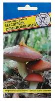 Мицелий грибов Маслёнок обыкновенный, 50 мл