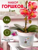 Горшки для орхидеи прозрачные 1,4л - 3шт. цвет розовый