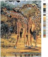 Картина по номерам Z-971 "Жирафы и зебры" 40x60