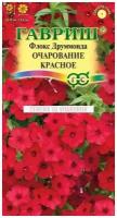 Семена. Флокс друммонда "Очарование красное" (10 пакетов по 0,05 г)