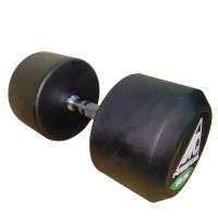 Набор гантелей неразборных DFC Powergym DB002 2х50 кг