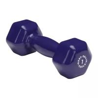 Гантель неразборная Body Solid BSTVD7