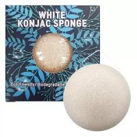 Trimay спонж White Konjac Sponge