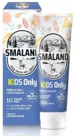 Aekyung Smaland Nordic Mild Fruity Kids Зубная паста детская Фруктовая 80 гр