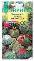 Семена комнатных цветов "Гавриш" Эхиноцереус (кактус) Непоседа, смесь, Мн, 0,05 г