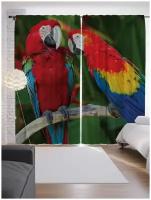 Шторы JoyArty с фотопечатью "Пара попугаев" из сатена, 290х265 см