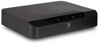 Сетевой стример/усилитель Bluesound PowerNode Edge N230 EU Black