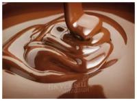 Ароматизатор натуральный жидкий Шоколад Baker flavors, 10 мл