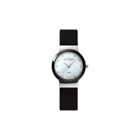 Наручные часы SKAGEN 458SSLB